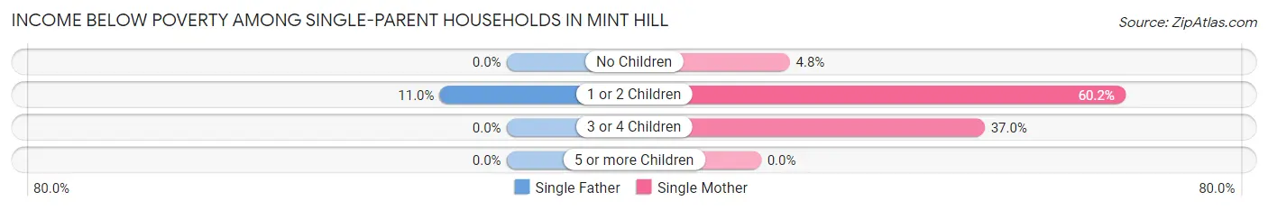 Income Below Poverty Among Single-Parent Households in Mint Hill