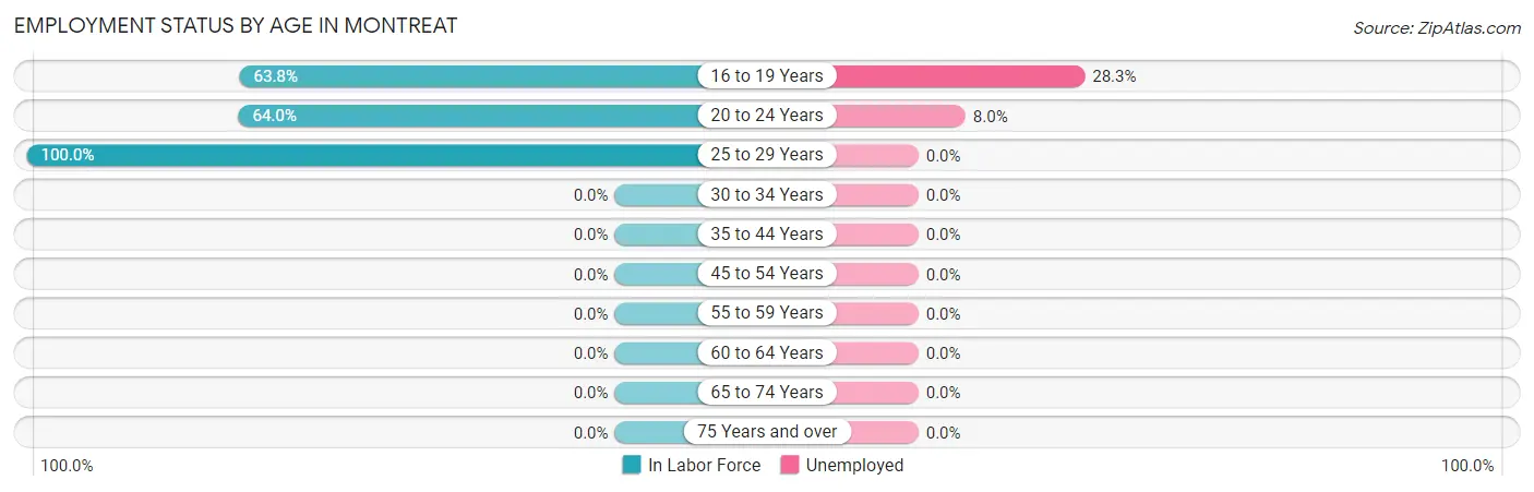 Employment Status by Age in Montreat