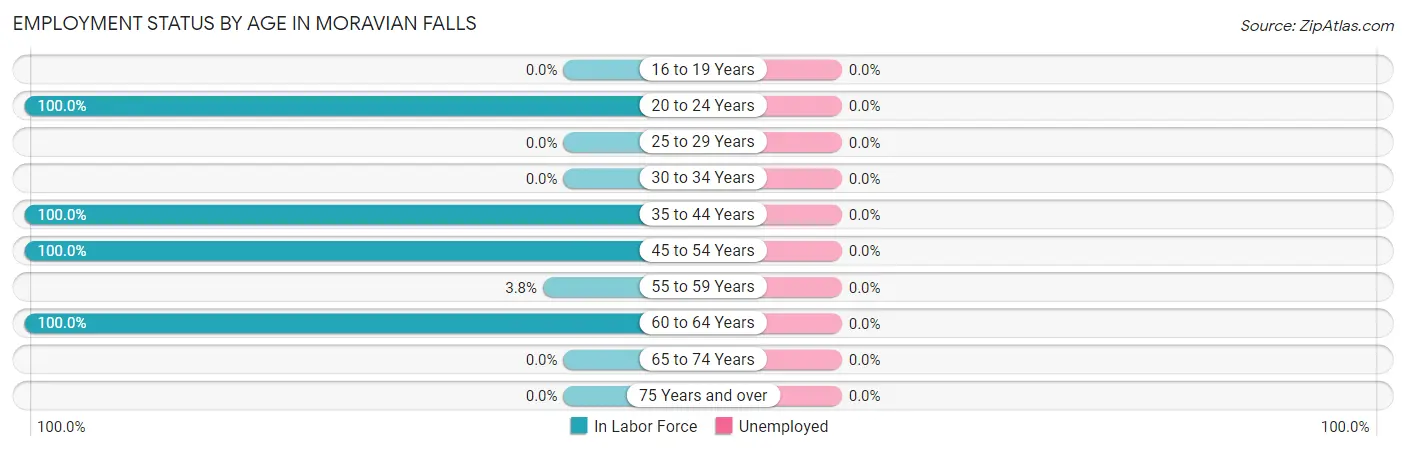 Employment Status by Age in Moravian Falls