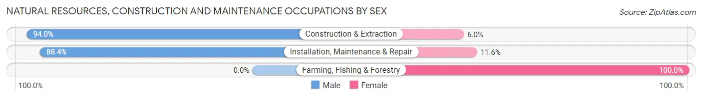Natural Resources, Construction and Maintenance Occupations by Sex in Morganton