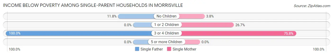 Income Below Poverty Among Single-Parent Households in Morrisville