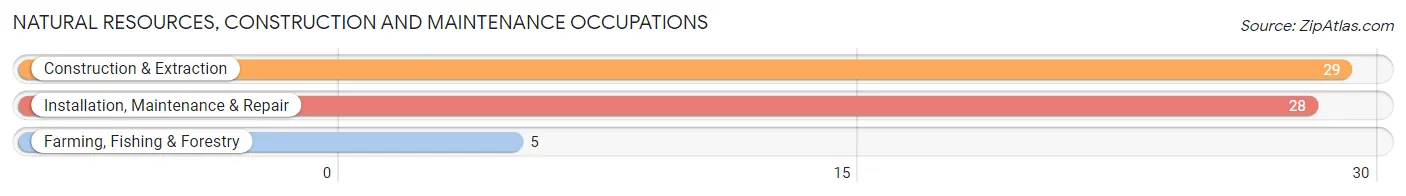 Natural Resources, Construction and Maintenance Occupations in Mount Pleasant