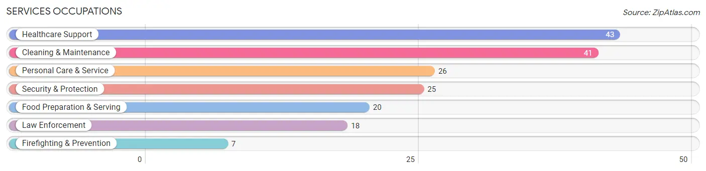 Services Occupations in Mount Pleasant