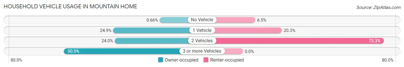 Household Vehicle Usage in Mountain Home