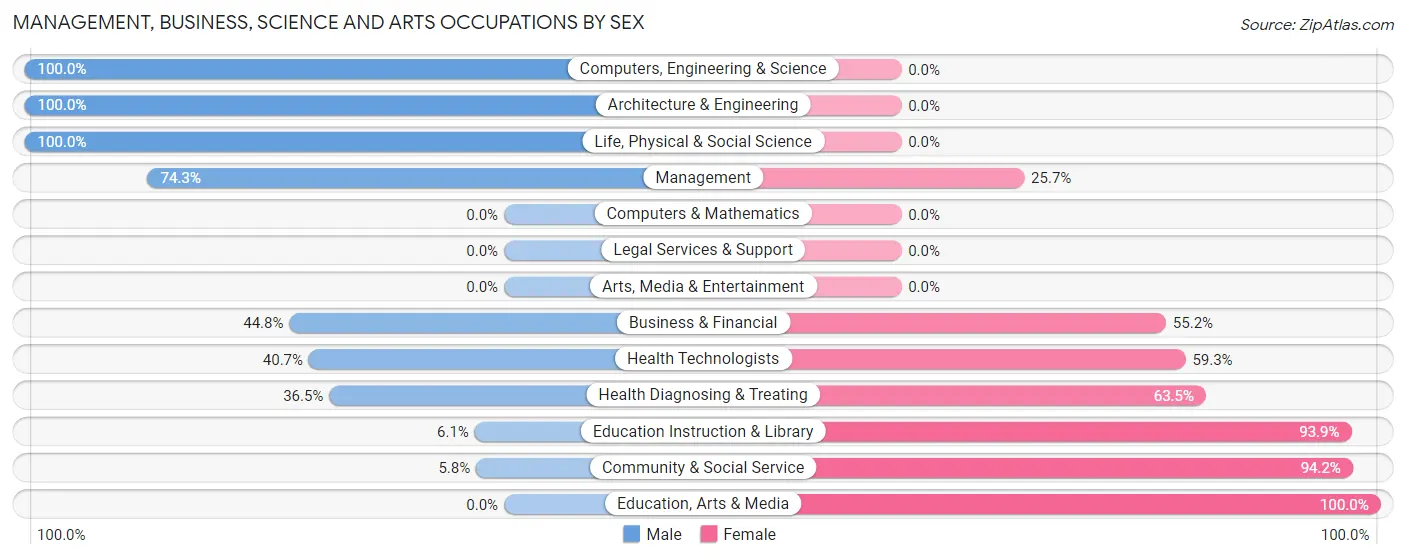 Management, Business, Science and Arts Occupations by Sex in Mountain Home