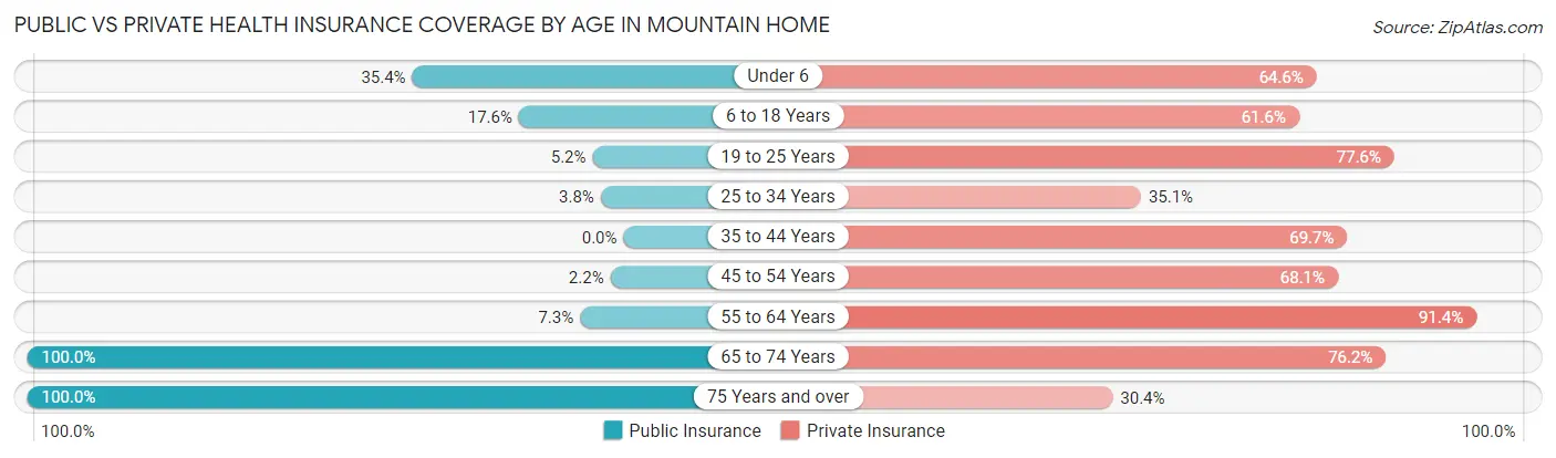 Public vs Private Health Insurance Coverage by Age in Mountain Home