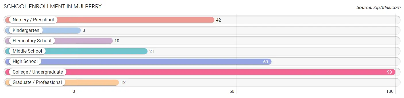 School Enrollment in Mulberry