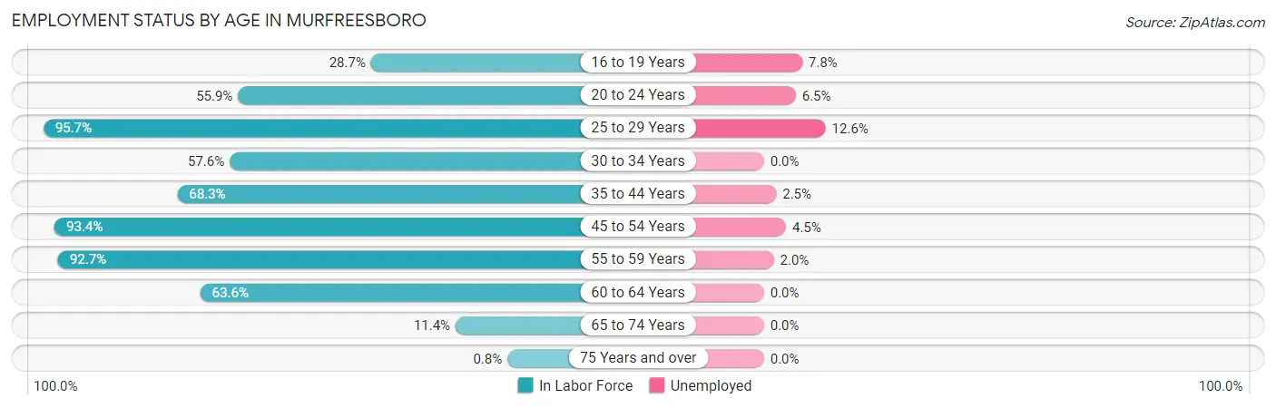 Employment Status by Age in Murfreesboro