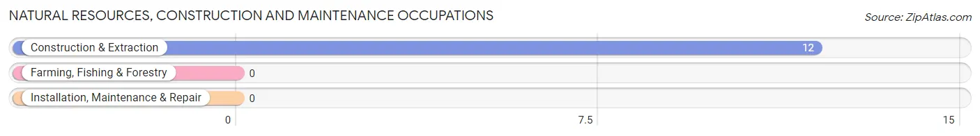 Natural Resources, Construction and Maintenance Occupations in Murphy