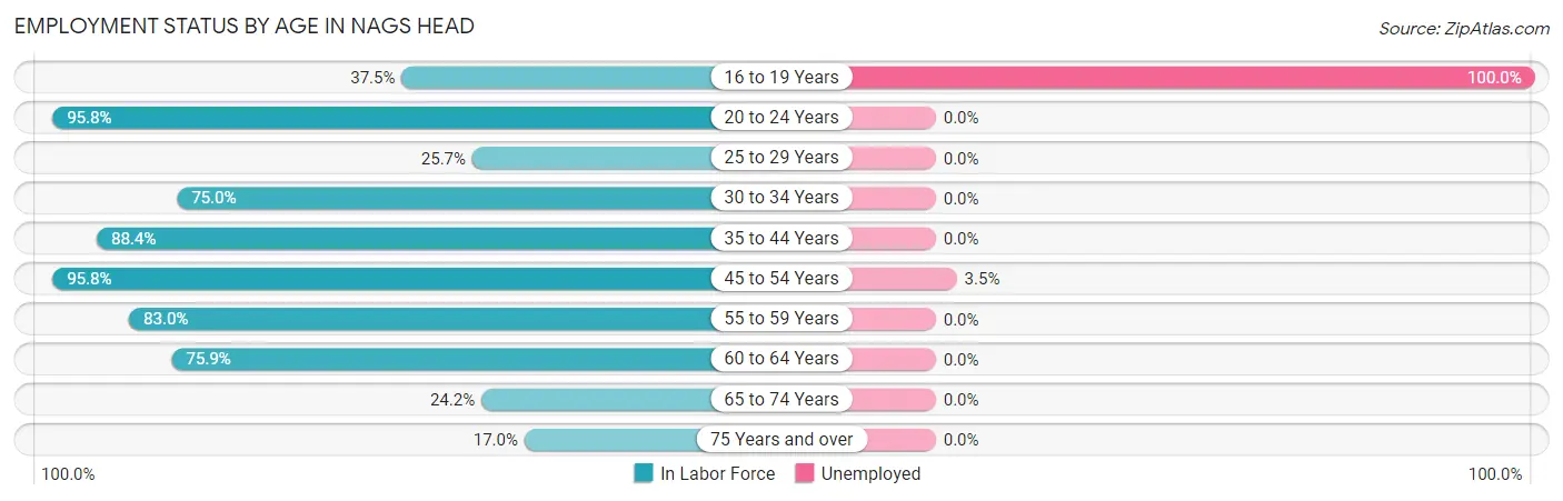 Employment Status by Age in Nags Head