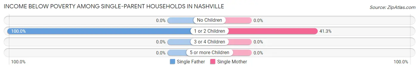 Income Below Poverty Among Single-Parent Households in Nashville