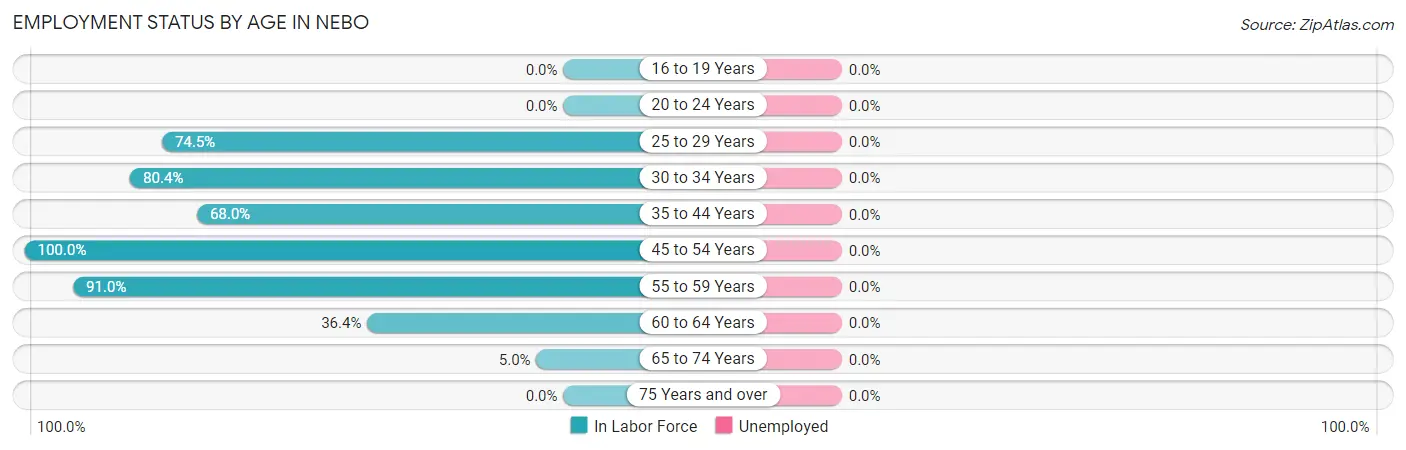 Employment Status by Age in Nebo