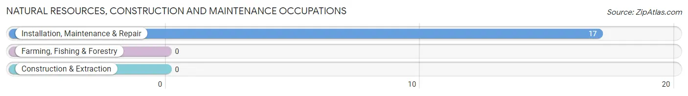 Natural Resources, Construction and Maintenance Occupations in New Hope