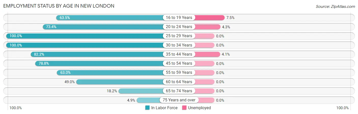 Employment Status by Age in New London