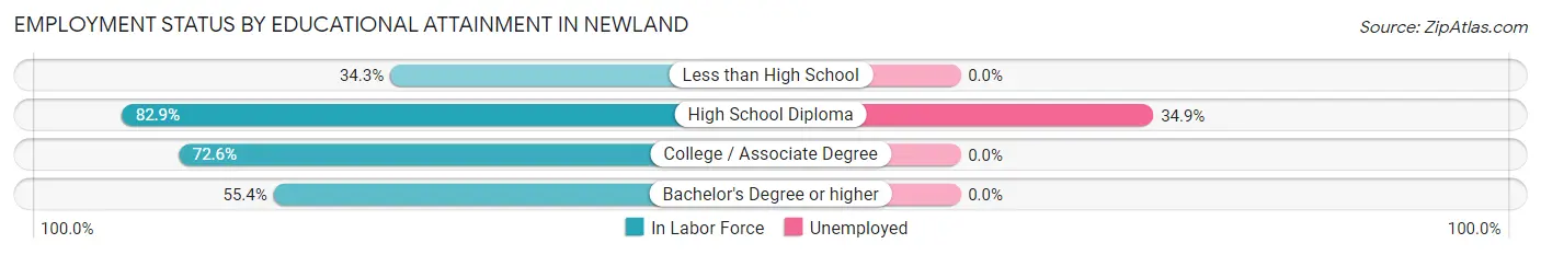 Employment Status by Educational Attainment in Newland