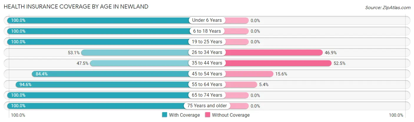 Health Insurance Coverage by Age in Newland