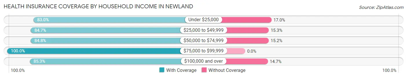 Health Insurance Coverage by Household Income in Newland