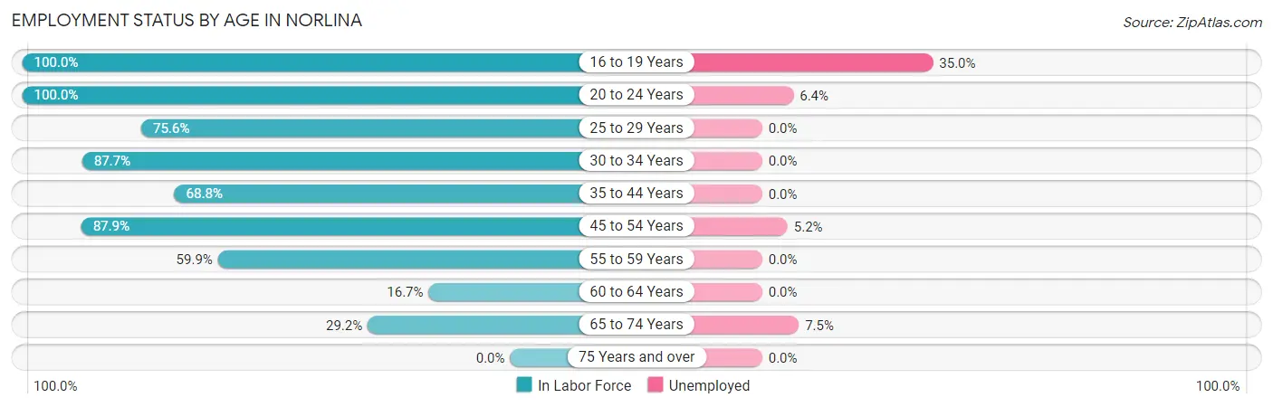 Employment Status by Age in Norlina