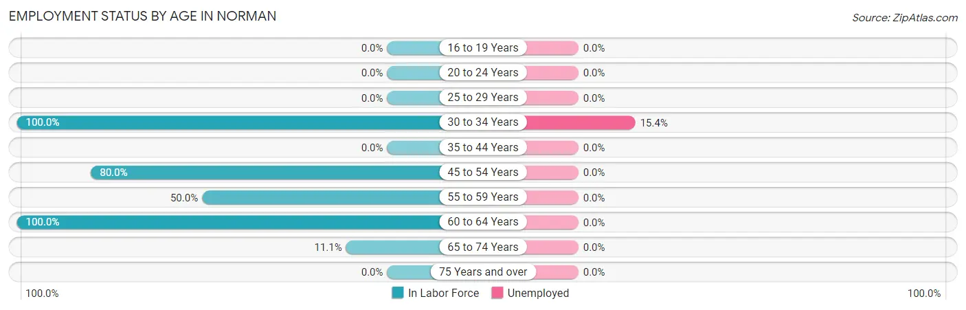 Employment Status by Age in Norman