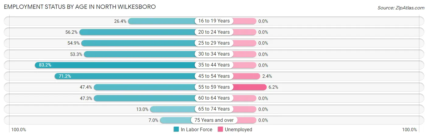 Employment Status by Age in North Wilkesboro