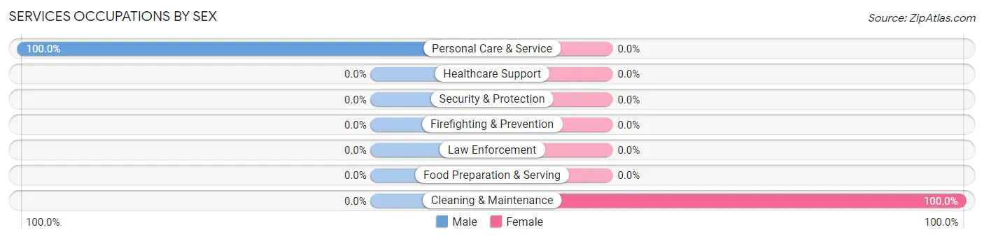 Services Occupations by Sex in Ocracoke
