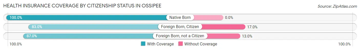 Health Insurance Coverage by Citizenship Status in Ossipee