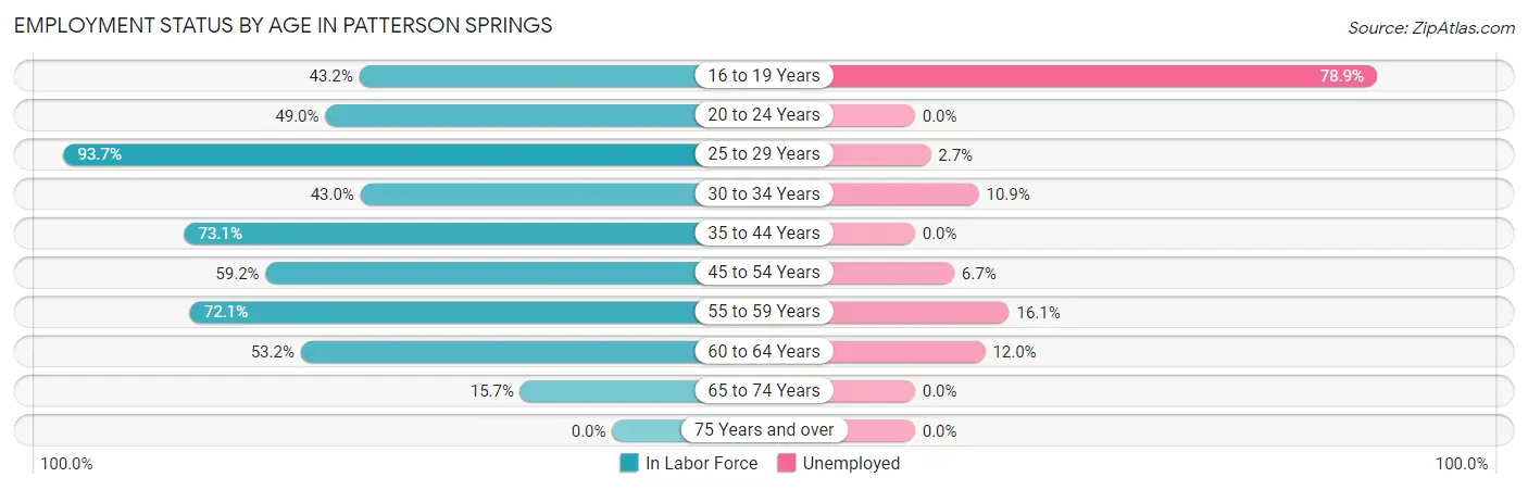 Employment Status by Age in Patterson Springs