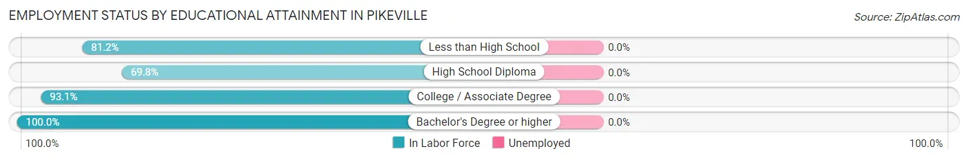 Employment Status by Educational Attainment in Pikeville