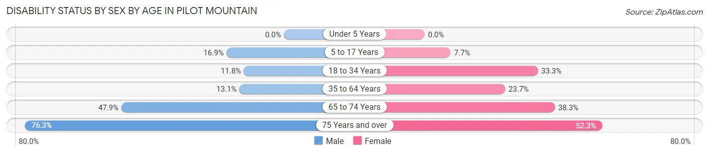 Disability Status by Sex by Age in Pilot Mountain