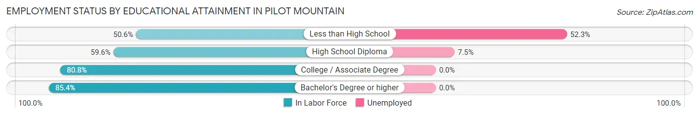 Employment Status by Educational Attainment in Pilot Mountain