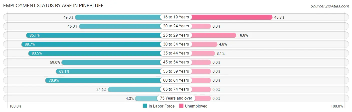 Employment Status by Age in Pinebluff