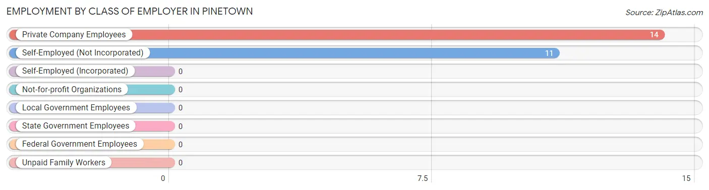 Employment by Class of Employer in Pinetown