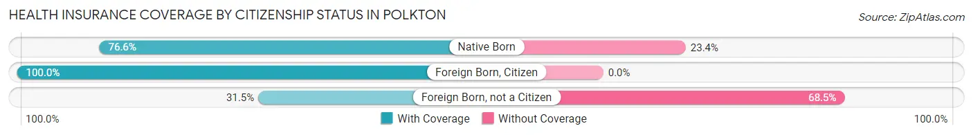 Health Insurance Coverage by Citizenship Status in Polkton