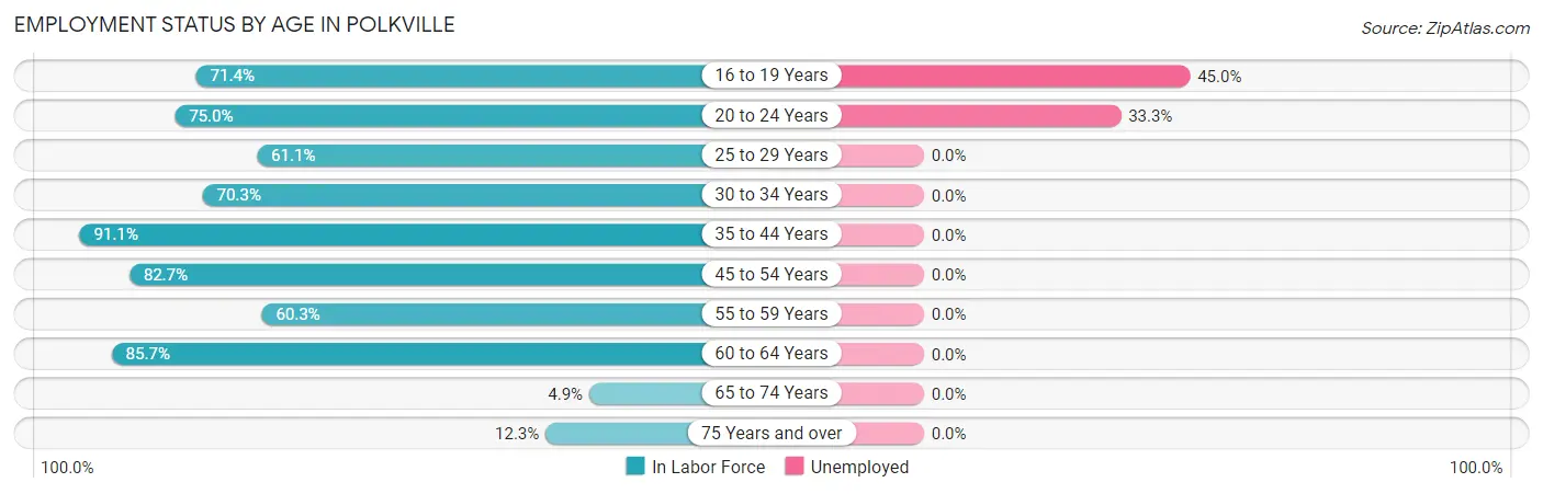 Employment Status by Age in Polkville