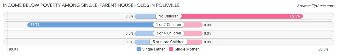 Income Below Poverty Among Single-Parent Households in Polkville