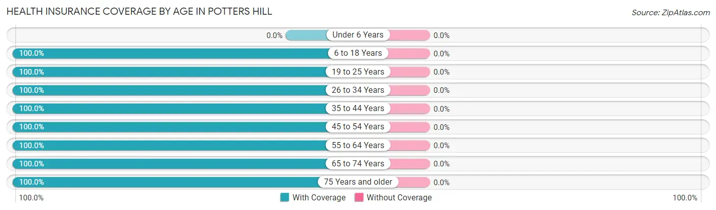 Health Insurance Coverage by Age in Potters Hill
