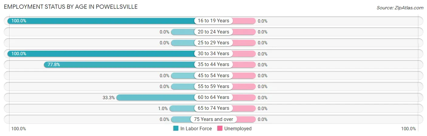 Employment Status by Age in Powellsville