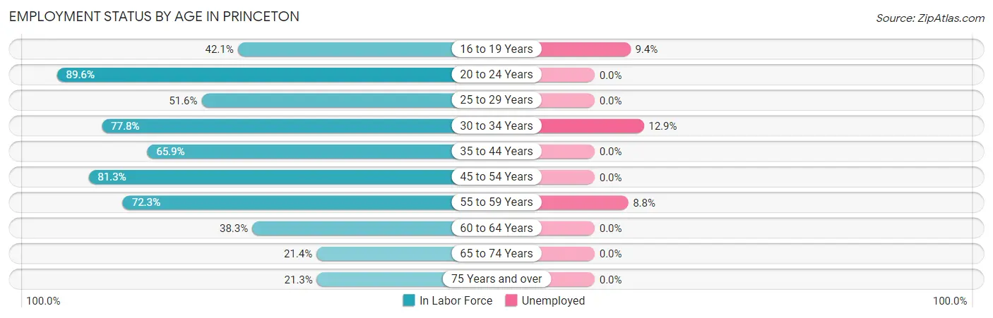 Employment Status by Age in Princeton