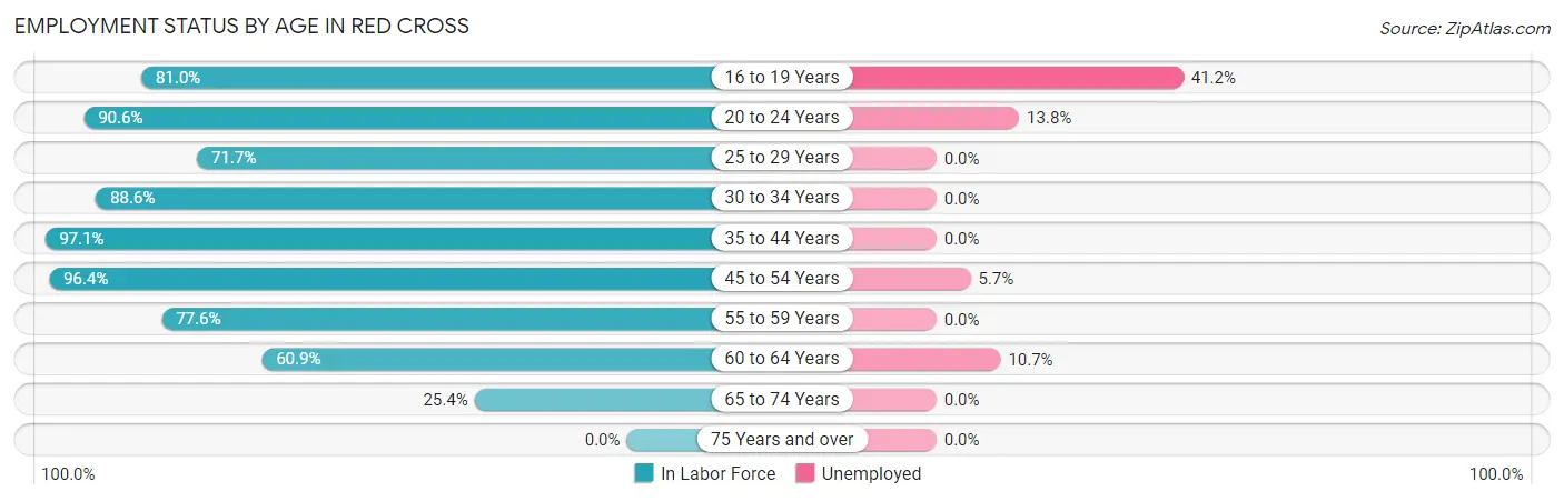 Employment Status by Age in Red Cross