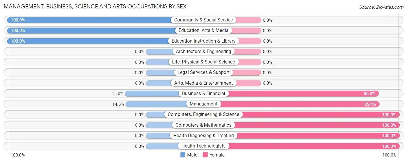 Management, Business, Science and Arts Occupations by Sex in Rhodhiss