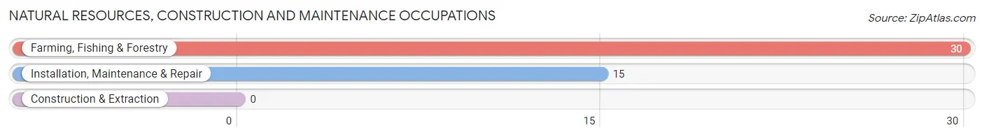 Natural Resources, Construction and Maintenance Occupations in River Bend