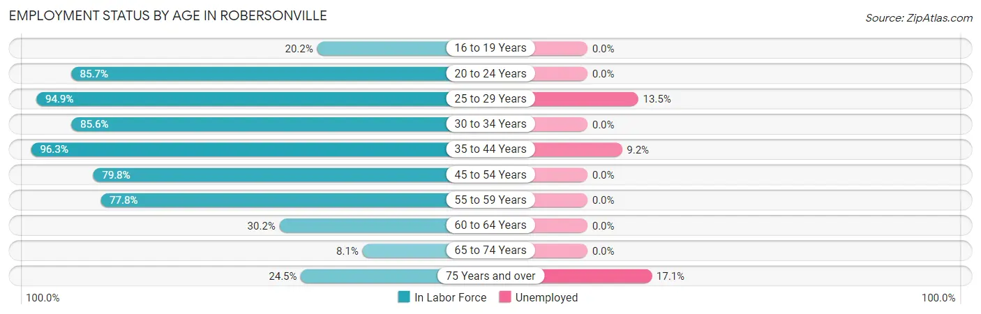 Employment Status by Age in Robersonville