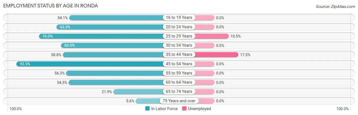 Employment Status by Age in Ronda