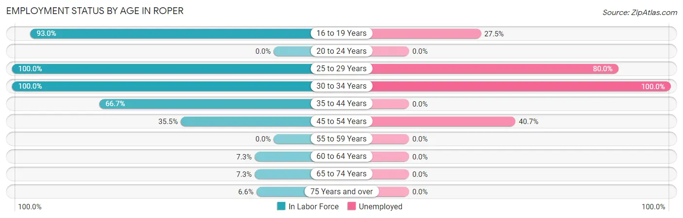 Employment Status by Age in Roper