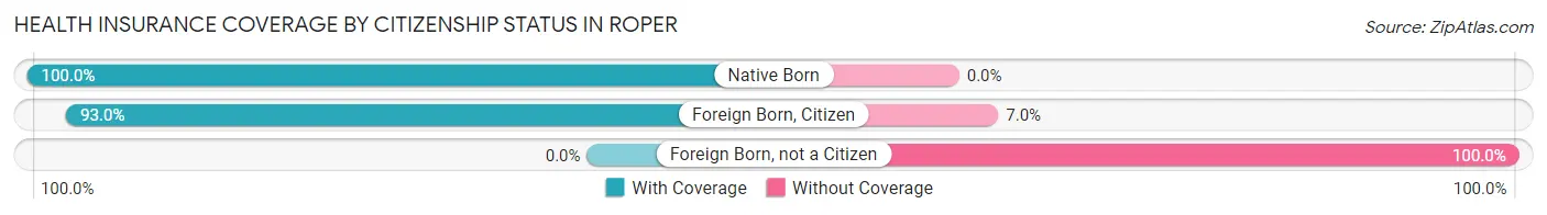 Health Insurance Coverage by Citizenship Status in Roper