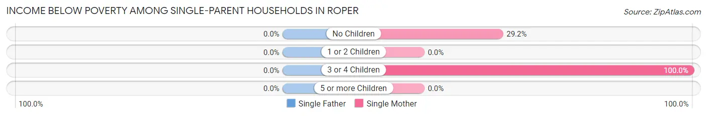Income Below Poverty Among Single-Parent Households in Roper