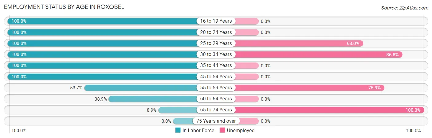 Employment Status by Age in Roxobel