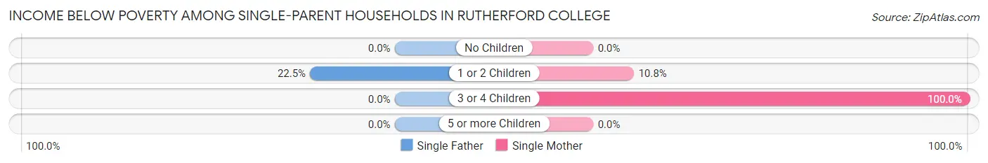 Income Below Poverty Among Single-Parent Households in Rutherford College