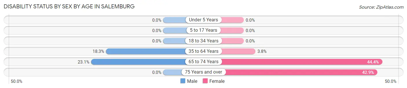 Disability Status by Sex by Age in Salemburg