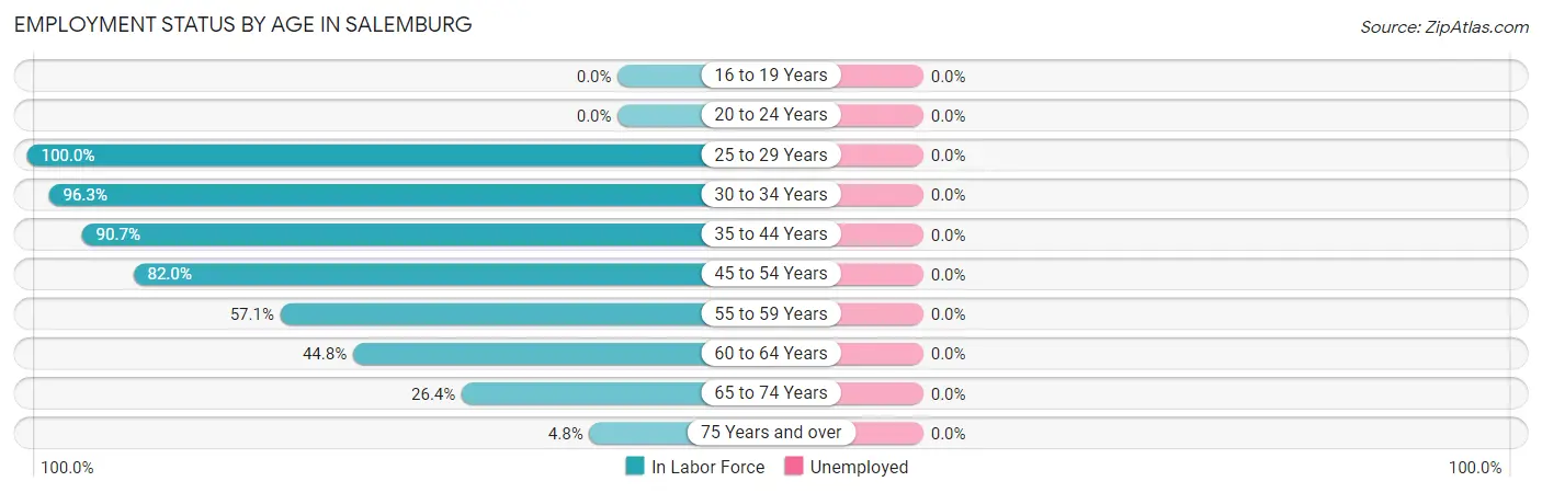 Employment Status by Age in Salemburg
